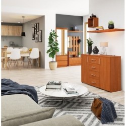 KOMODA K 45 110 cm OLCHA
