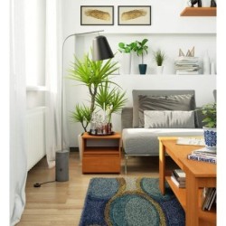 Niska szafka nocna 40 cm olcha z 1 szufladą i 1 półką