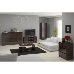 KOMODA RTV K120 2 DRZWI 1 PÓŁKA WENGE