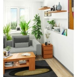 Komoda do salonu 40 cm kolor olcha z 3 szufladami